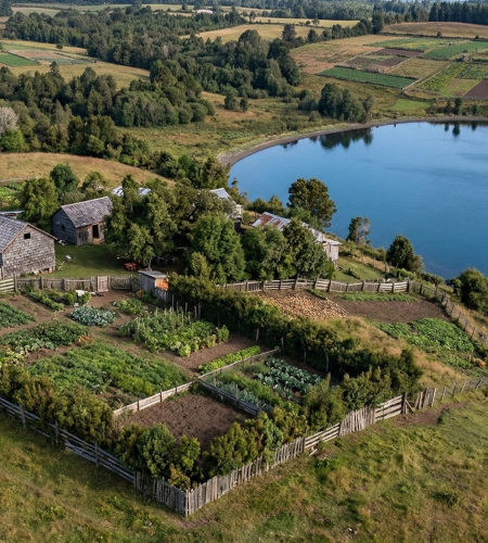 Historias de Origen imagen campo y mar